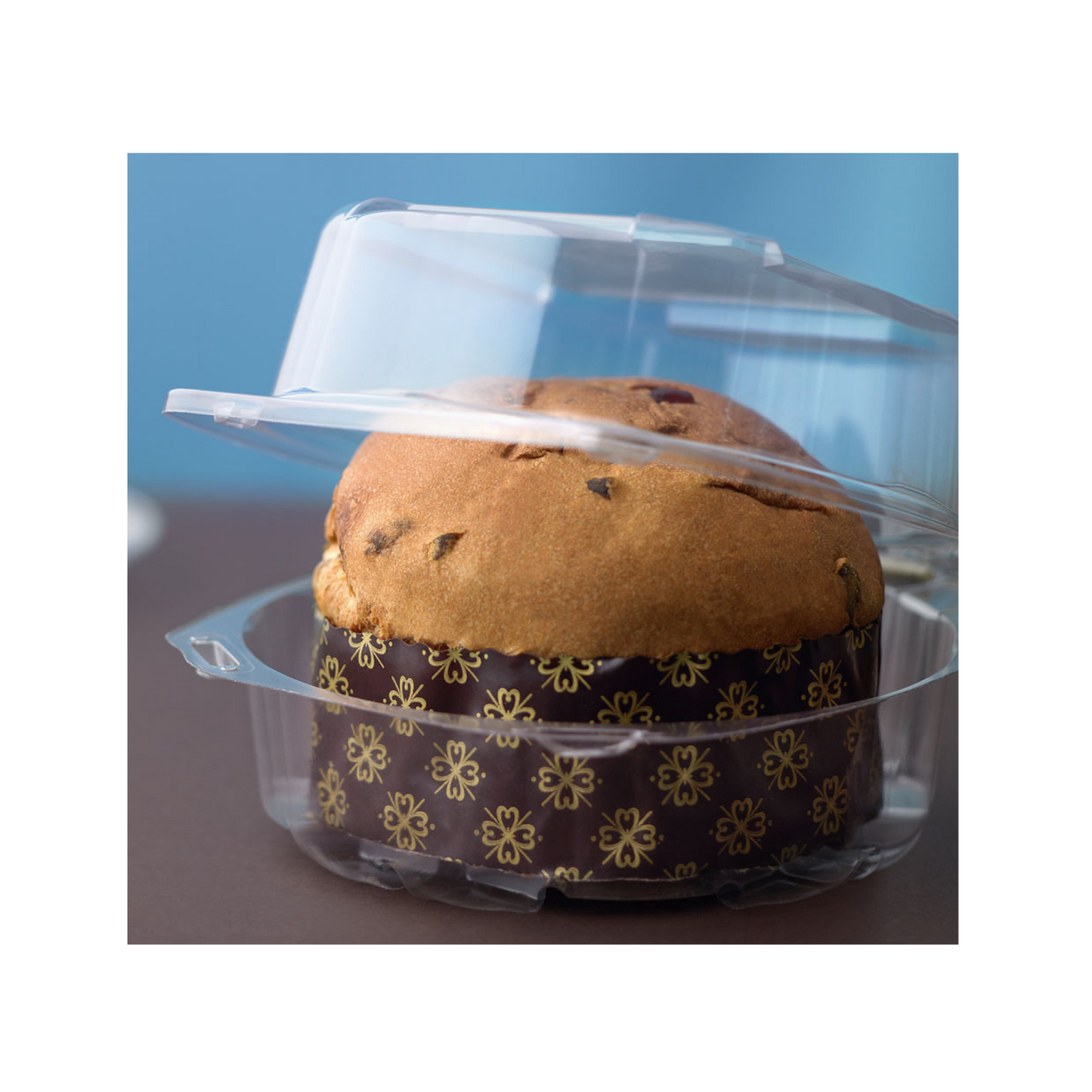 Q-Pack de 6 Envase Transparente Round Pack 16 x 14 Resq